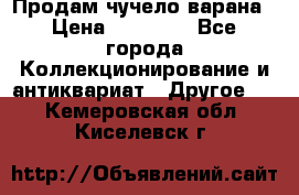 Продам чучело варана › Цена ­ 15 000 - Все города Коллекционирование и антиквариат » Другое   . Кемеровская обл.,Киселевск г.